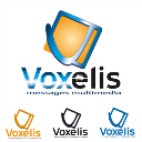Voxelis logo