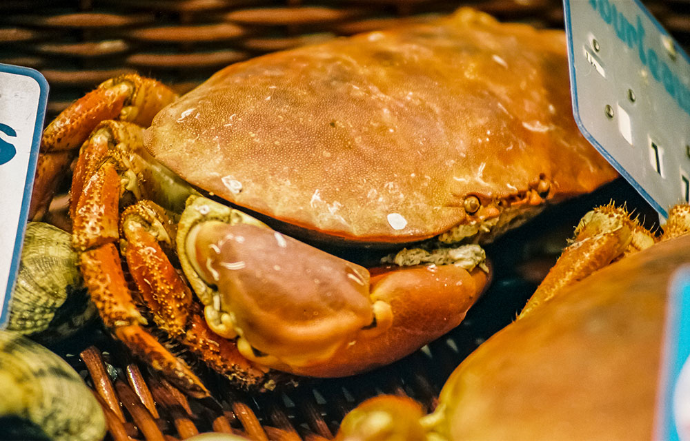 Crab Étalé